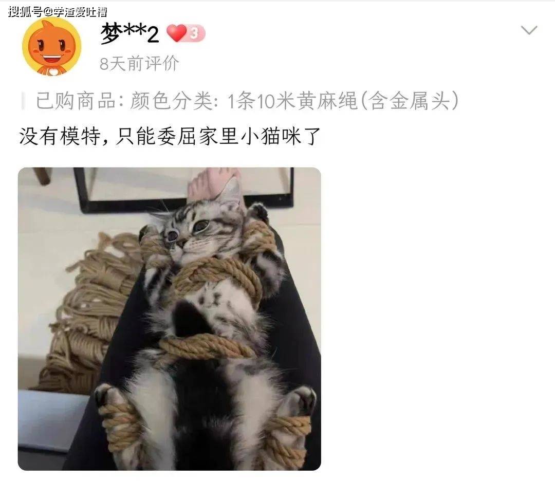 原创
“当女友的老公突然打电话给我...”哈哈哈这是啥背德文学!