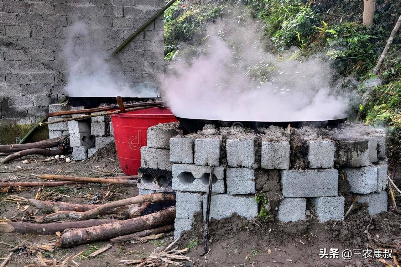 原創專家春節即將來臨建議禁止農村燒柴火做飯這些說法有道理嗎