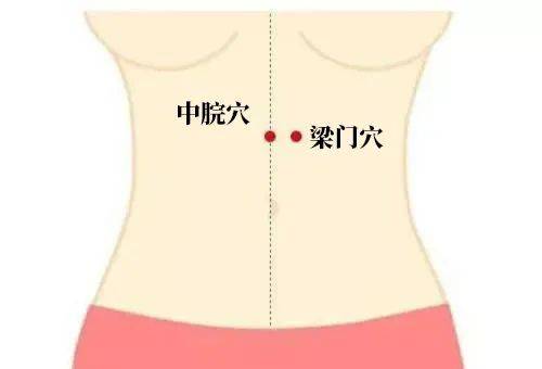 枳实_穴位_小肠