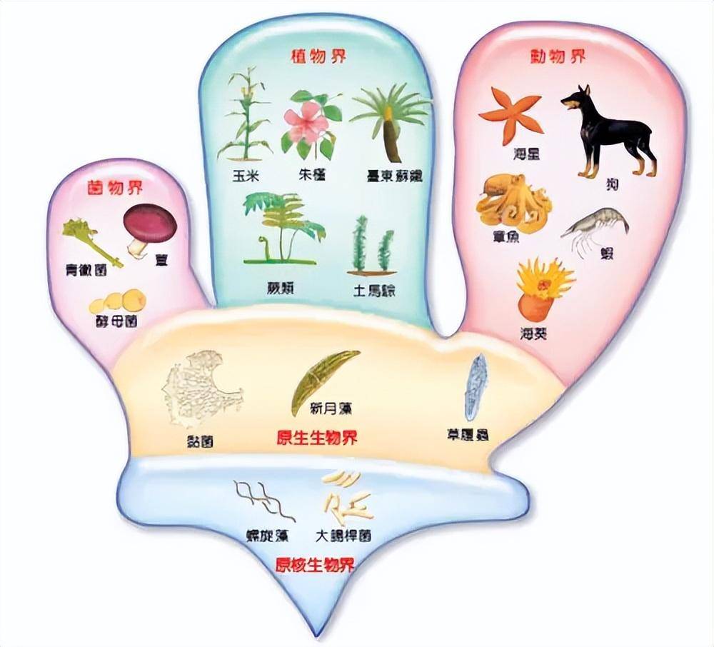 生物也能违背生命规律?_自然界_灵芝_菌类