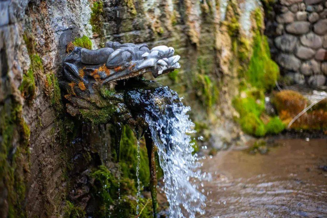 千年古泉·秦皇岛桃林山泉邀您莅临参观交流!_生产_泉水_公司