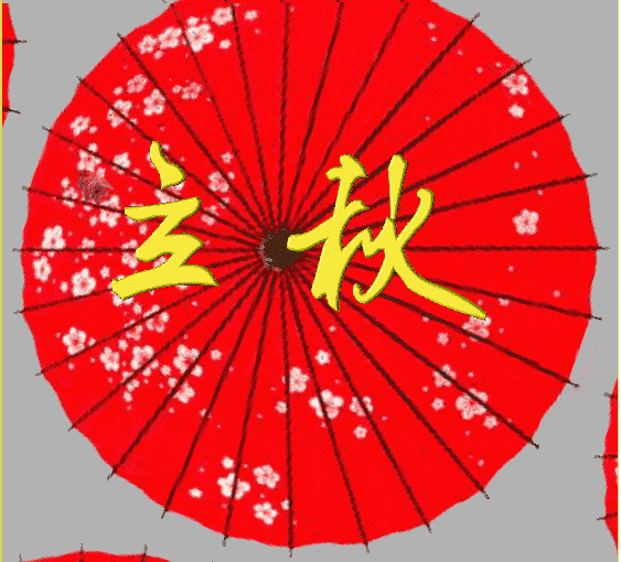 563_510gif 动态图 动图