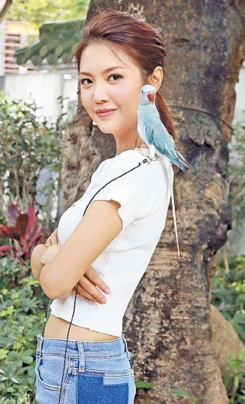 罕见！TVB女星陈庭欣拍剧带自家鹦鹉进组,主动为其争取角色和特写镜头