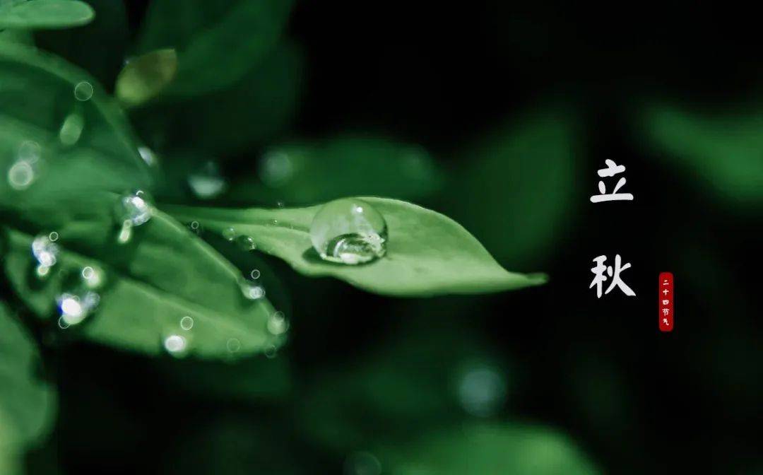忽然梧叶落庭中,十首立秋的诗词,惟愿你此生一切安然顺遂!