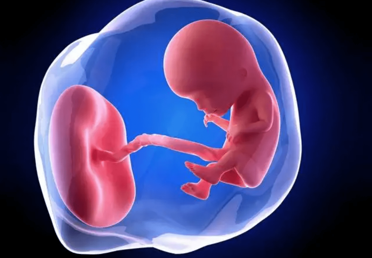 许多动物的排泄跟交配都在一个器官,人类却不是_进化_生物_大熊猫