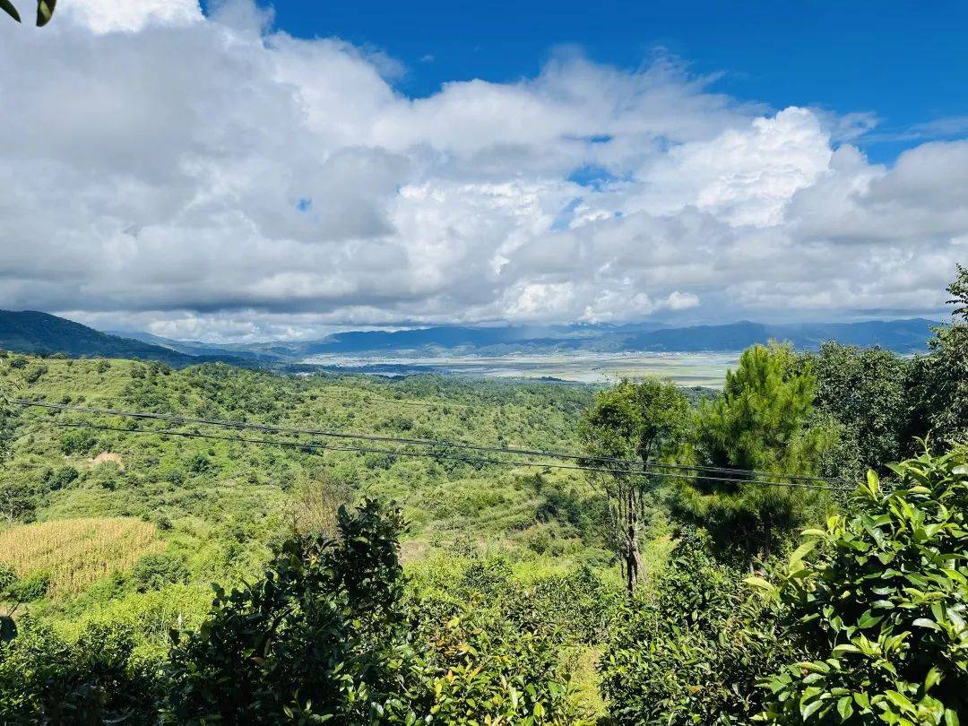 鲜鉴之茗|走进西双版纳,夜游湄公河_茶山_普洱茶_茶园