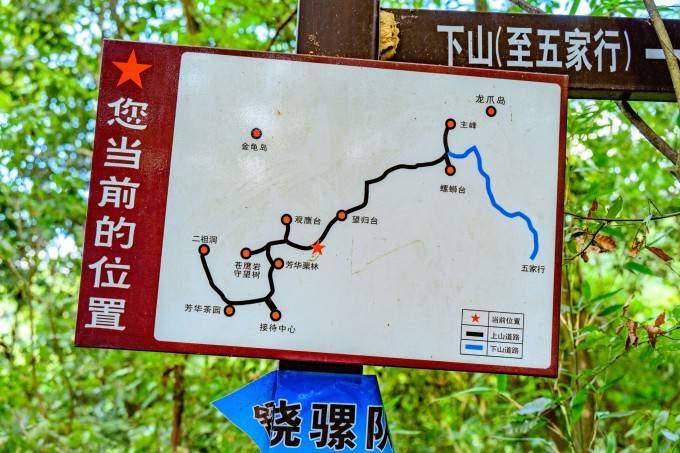 周末自驾去安徽霍山县避暑游,我爬了三座大山!_铜锣寨_景区_大别山