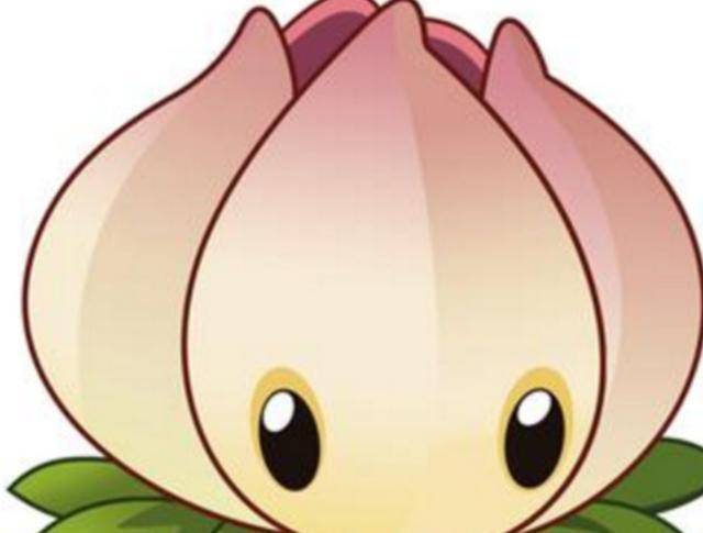 植物大战僵尸2五种花五种强度大王花毒强花女王火强