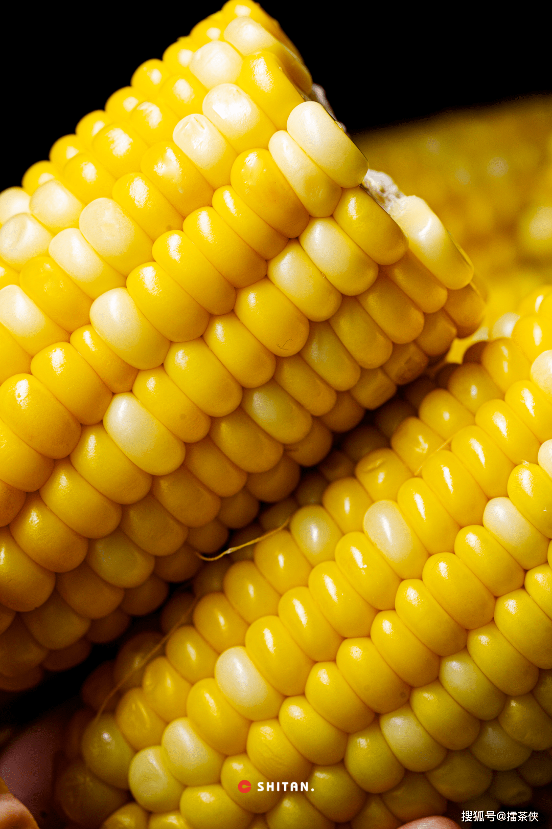 农场甜玉米