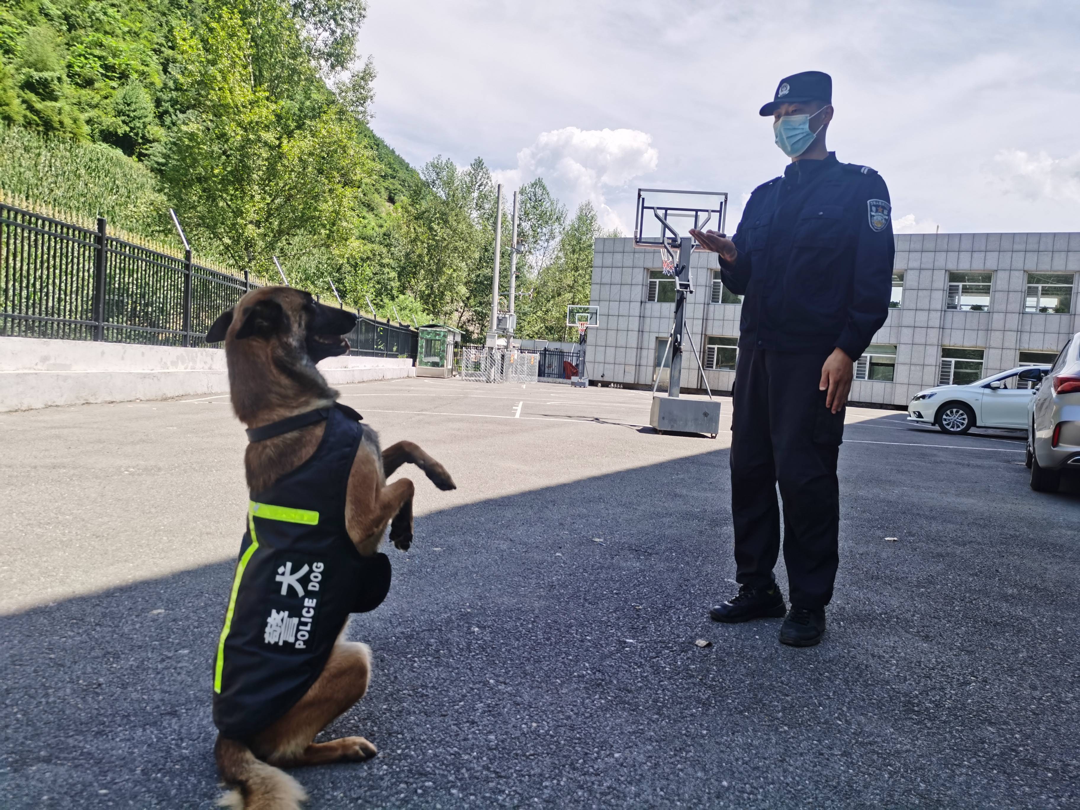 长川边境检查站开展警犬日常训练