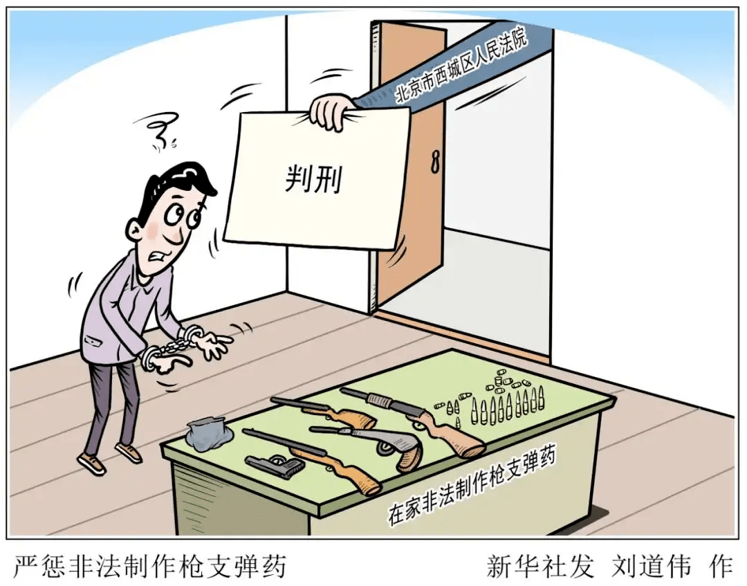 关于非法持有枪支罪的几点思考_规定_弹药_行为