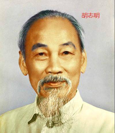 中国援越最高将领是谁?此人官至军区司令员,用2万吊打33万法军_越南_高平_陈赓