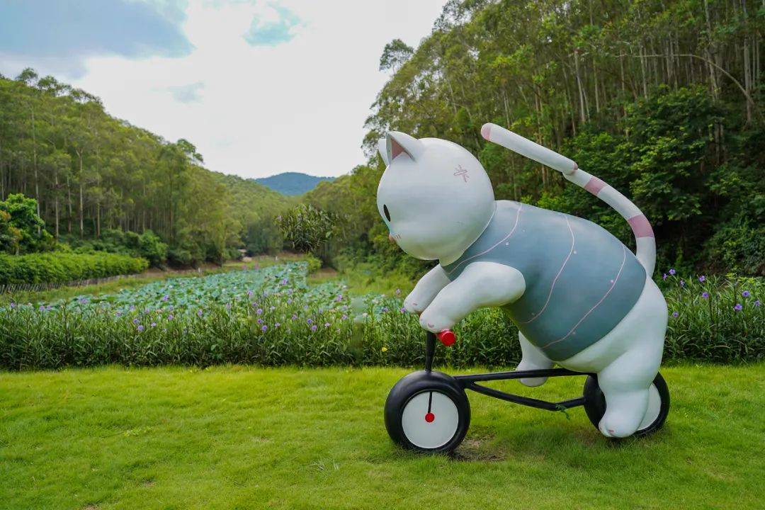 原创广东肇庆有个猫爪谷不仅可玩水可体验无动力过山车还能撸猫