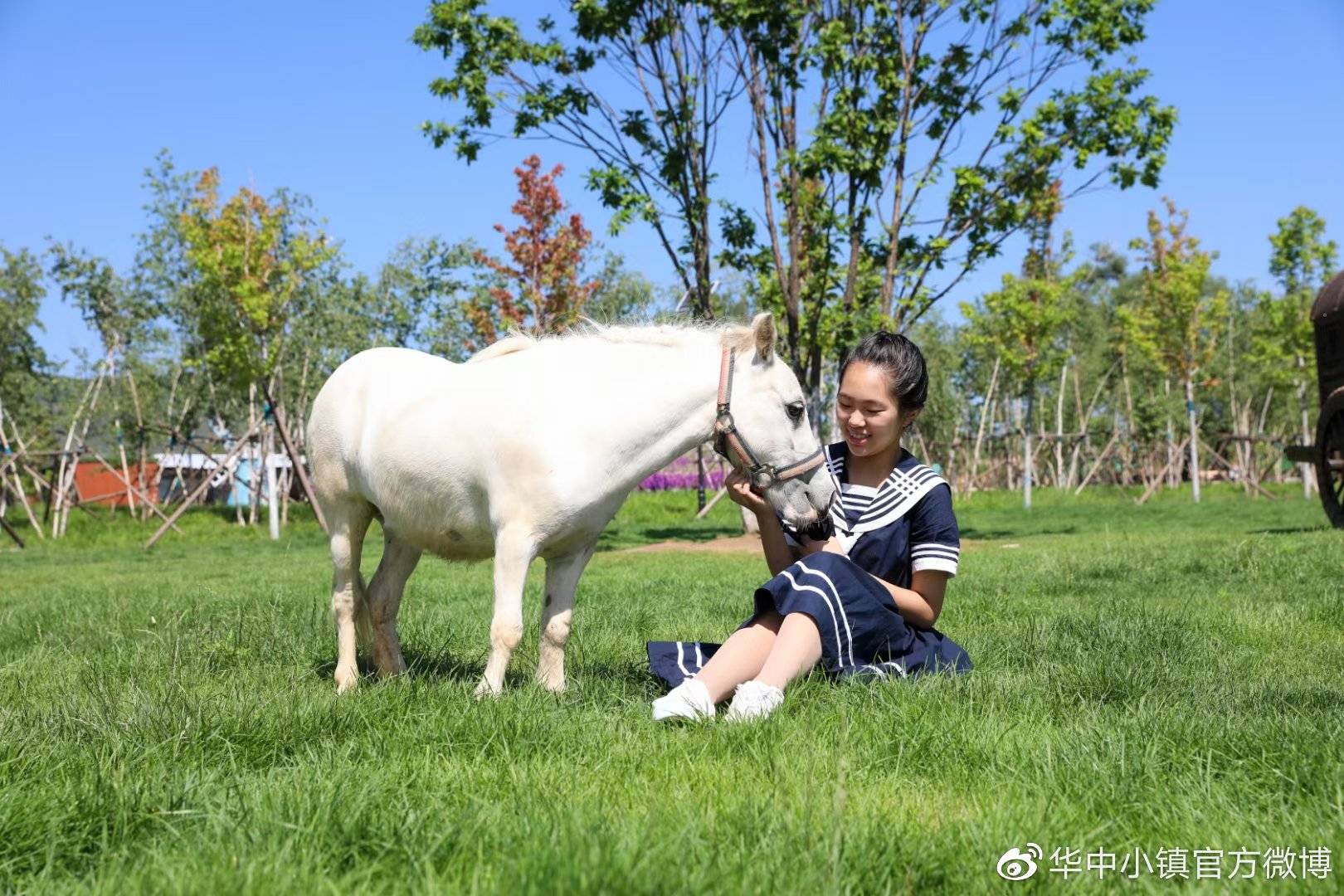 在长城脚下学习马术骑乘,做优雅的小骑士;去青青牧场与萌宠互动,诗经