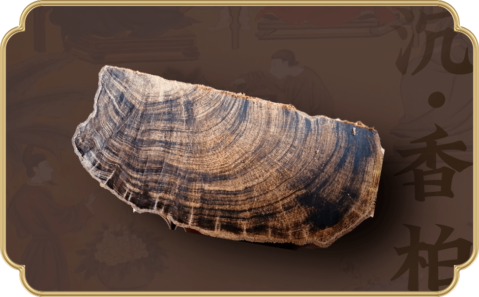 沉·香柏|陈埋于土中的香材_柏木香_肌肉_木材