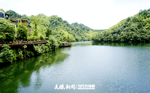 赤水市葫市镇:立足竹业富民 推进乡村振兴_产业_发展_生态