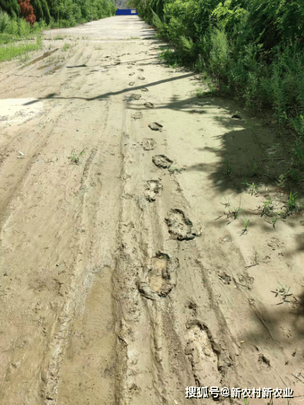 河道里露营，矿坑边打卡……藏着危险的野景点如何变网红？