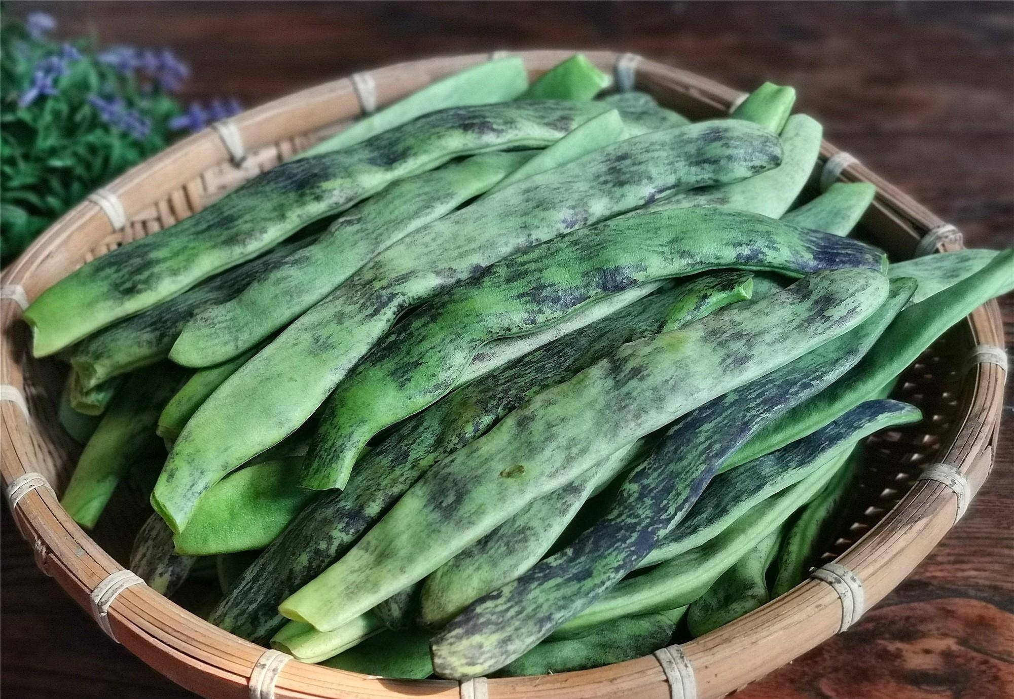 【后弯腰】这个豆角长得和别的豆角不一样,别的豆角朝里弯,这个豆角长