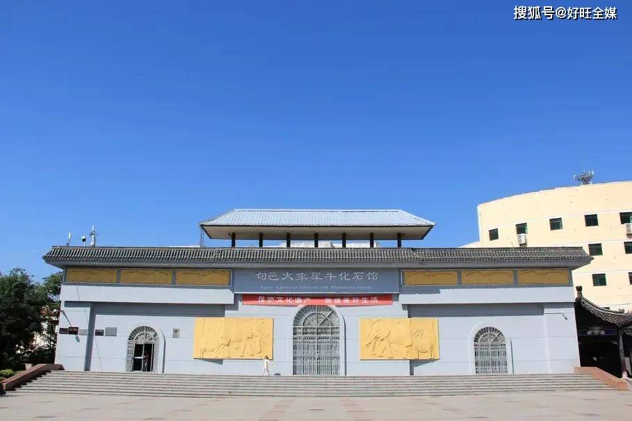 魅力陕西行|旬邑博物馆:黄河剑齿象——300万年前的"巨无霸"_大象