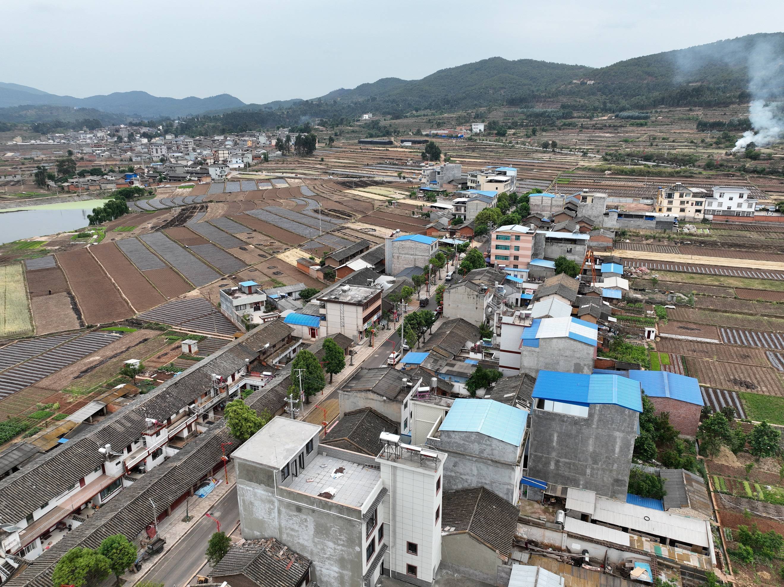 楚雄市子午镇推进实用性村庄规划编制 让干部规划家乡行动走深又