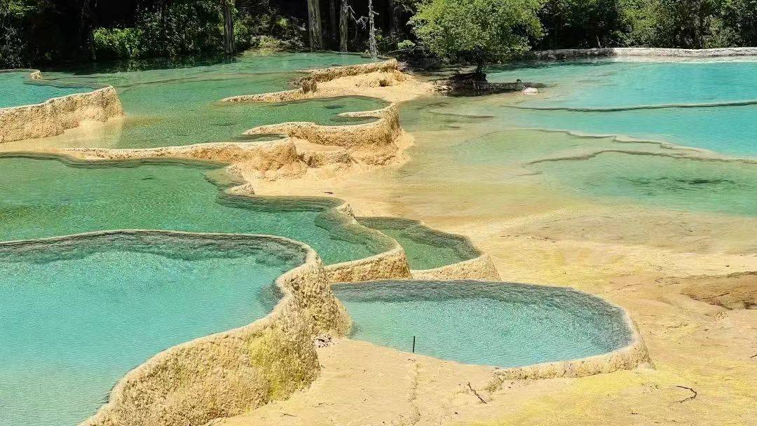 「黄龙」圣地黄龙,人间瑶池_景观_景区_黄色