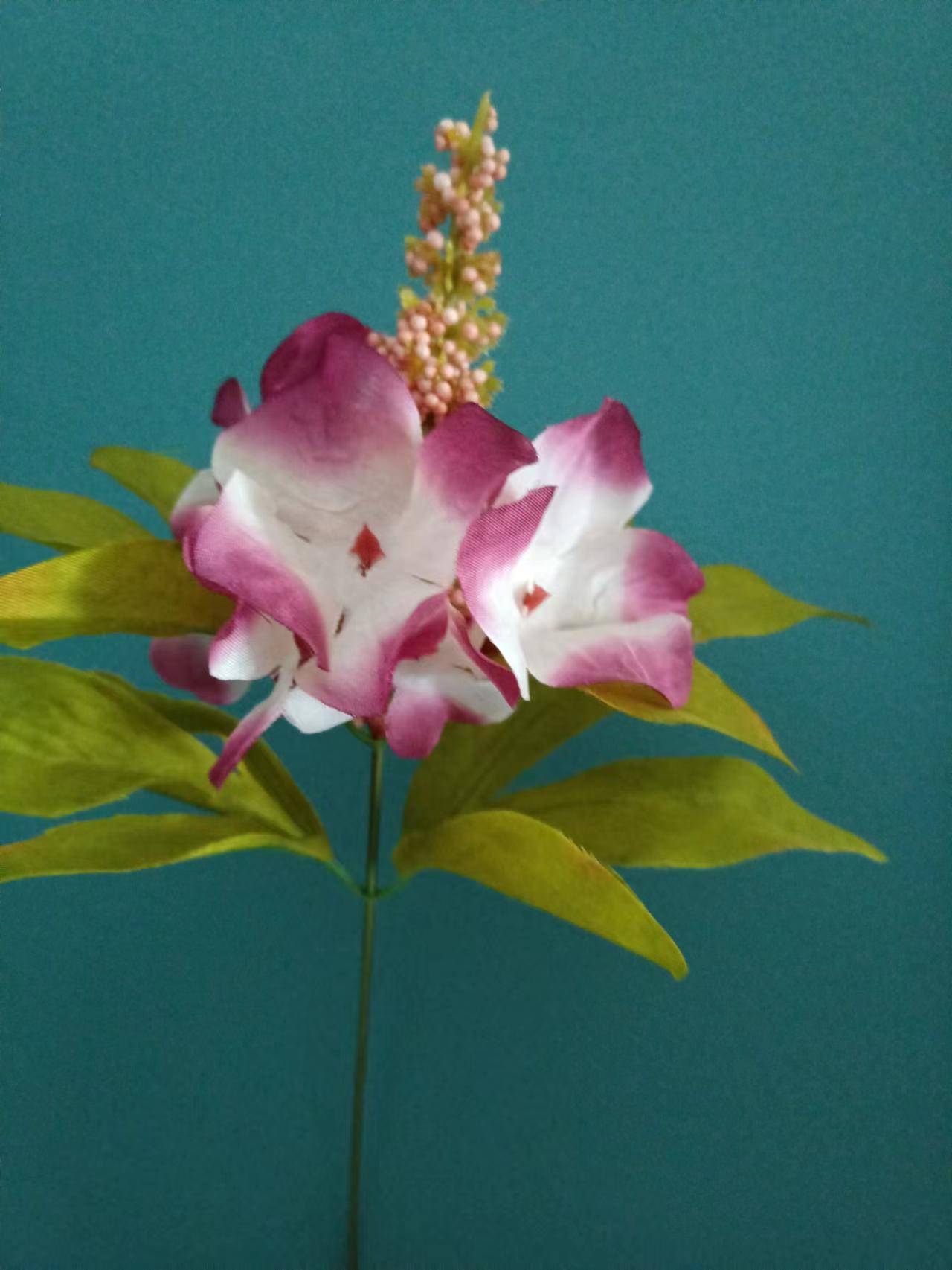 明天8月19日牛 猪 虎财运跃龙门 桃花运爆棚 正偏财狂揽千万3生肖 横财 机会 财富