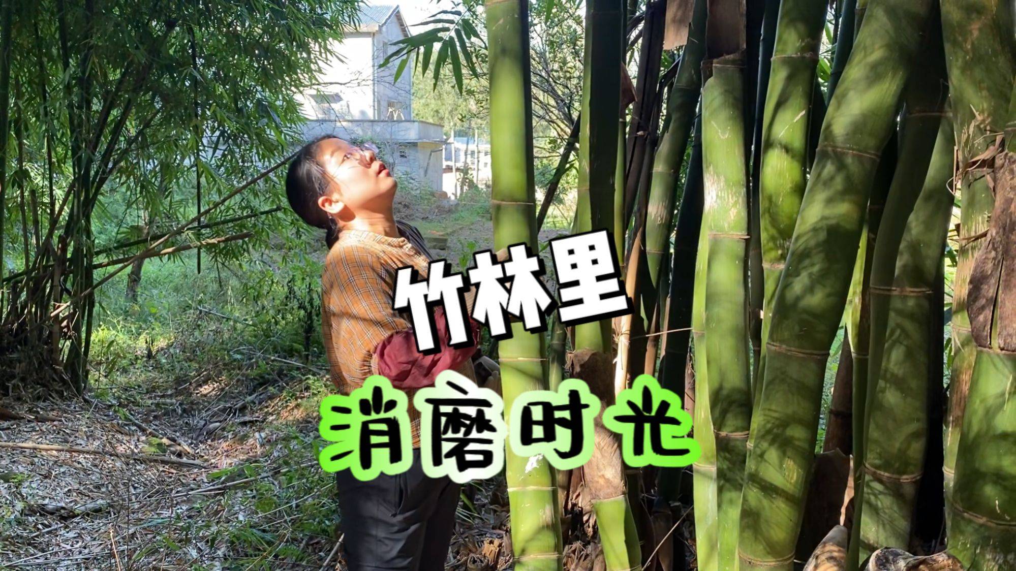 不会用砍刀的媳妇，班门弄斧砍竹子，半天时间，总算砍回四根竹子