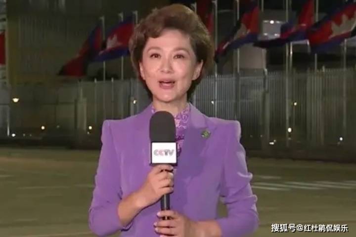 2022年那些淡出央视荧屏的主持人们，有人主动让路，有人无奈退场_节目_频道_李晓东
