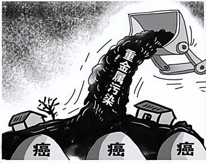 金属的垃圾都有哪些危害图片(金属的垃圾都有哪些危害图片高清)