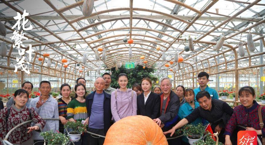 电视剧《花繁叶茂》获第16届中美电视节"中华文化传播力奖"_攻坚_贵州