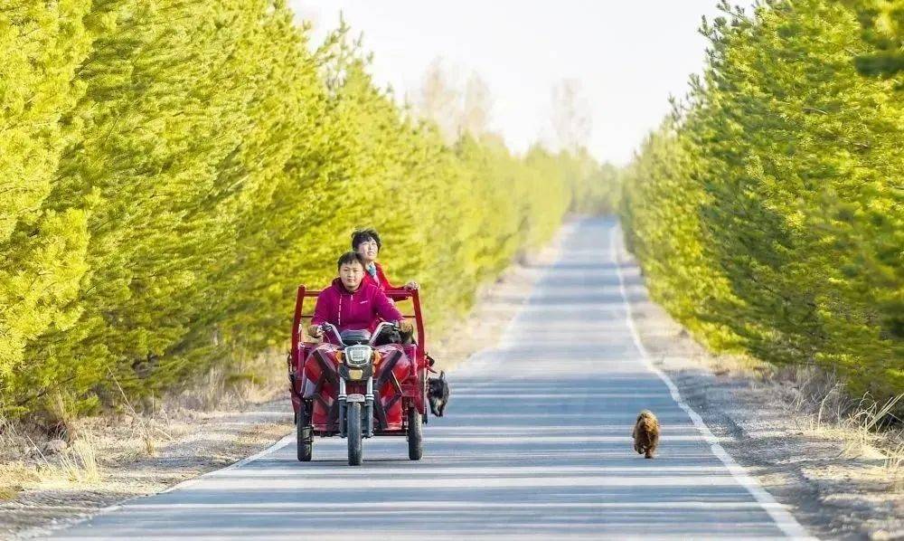 "沙漠之花"殷玉珍:宁肯种树累死,也不叫沙欺负死_树苗_丈夫_沙海里