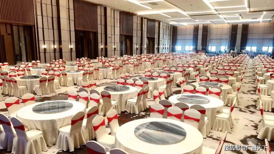 荣誉国际酒店(天长店)多功能国际(宴会,会议会展)厅掠影 气势恢宏设备