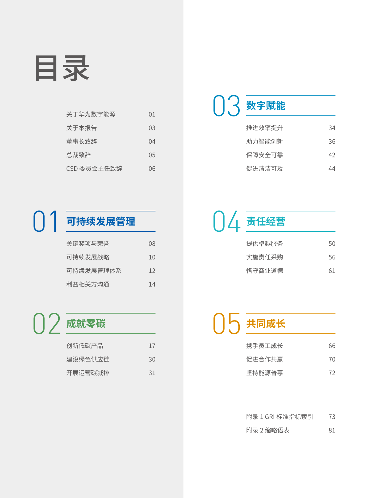 2021年可持续开展陈述(附下载)