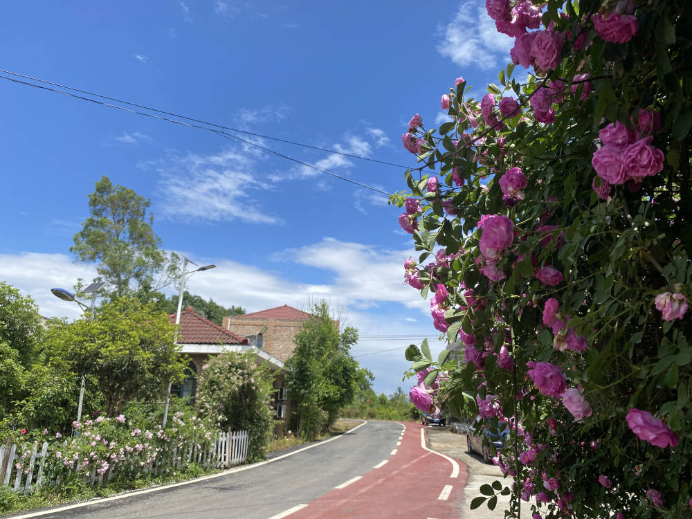 涪城青义镇再度入选"全国综合实力千强镇"_服务_建设_企业