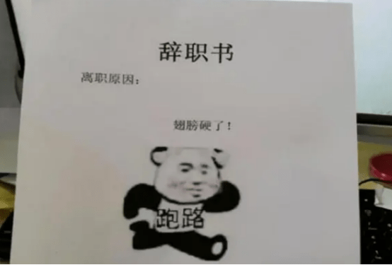 00后大学生辞职信走红，“想画饼，不可能”，连面子话都省了