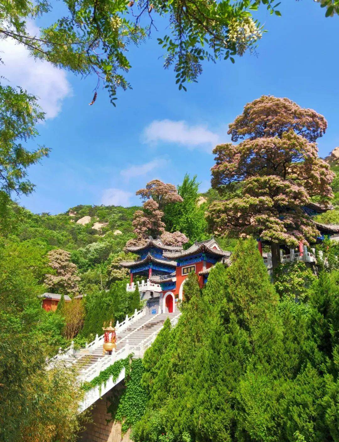 昆嵛山的春夏秋冬,你最爱哪一季?_季节_山林_山川