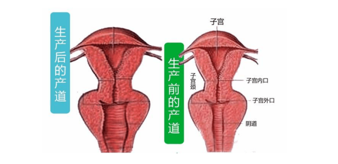 刚出生的女孩下面图片