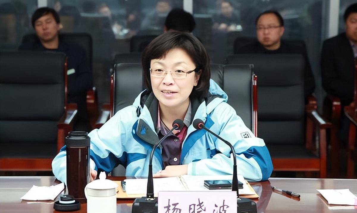 贪官杨晓波:在职期间大肆敛财,声称悔不当初,最终下场如何了_工作