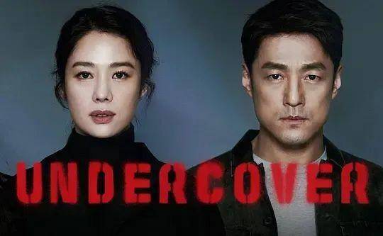 没有纯粹的忠犬老公,只有满是秘密的《卧底》_池珍熙_电视剧_时间