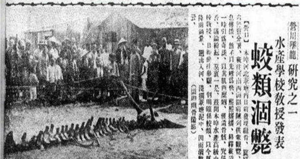 1934年遼寧營口發生墜龍事件,70年後有人上交龍骨,怎麼回事?