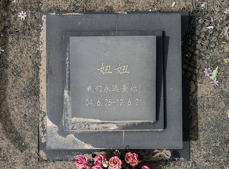 玫瑰花的葬礼,埋葬过去的回忆吧_地方_家有宠物_活动