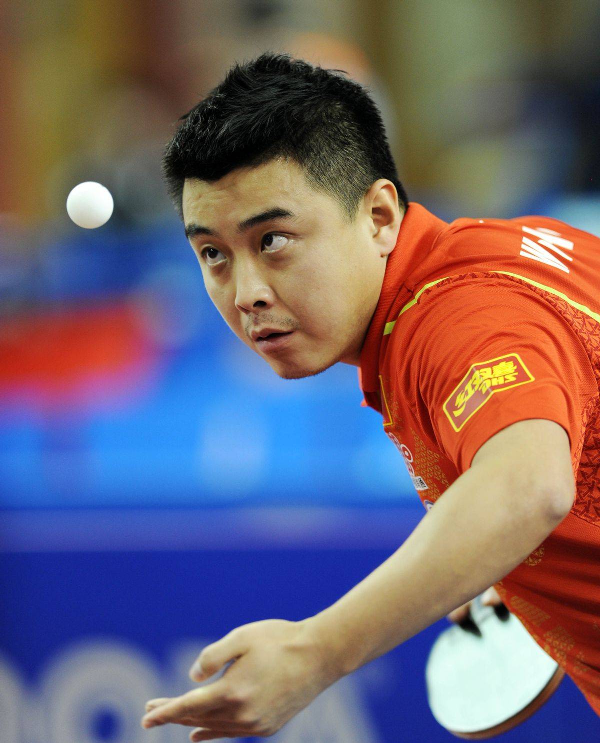 秦志戬退出竞选,男队主教练引不满,球迷:乱成一团!_国乒_指导_王皓