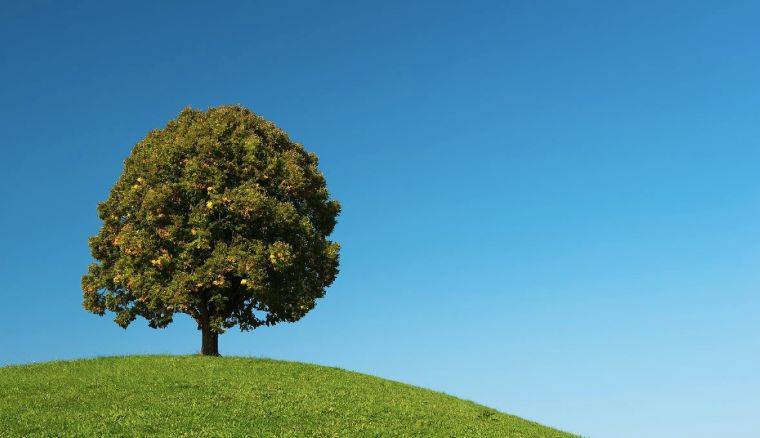 国美买的老板电器等家电，既不发货也不退款?-家电圈官网