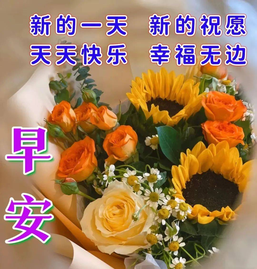 2023年1月3日週二早上好,精選早安暖心祝福圖片帶字帶祝福語_問候