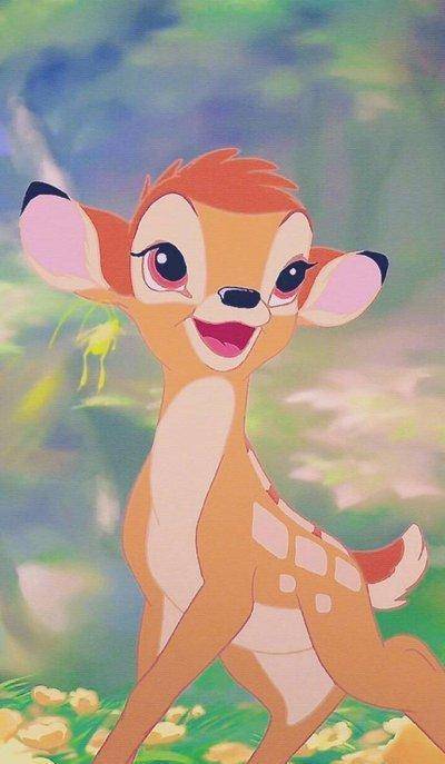 这些羚羊天生一双卡姿兰大眼睛,估计达斯米奇一看见它们,就会想跟它们