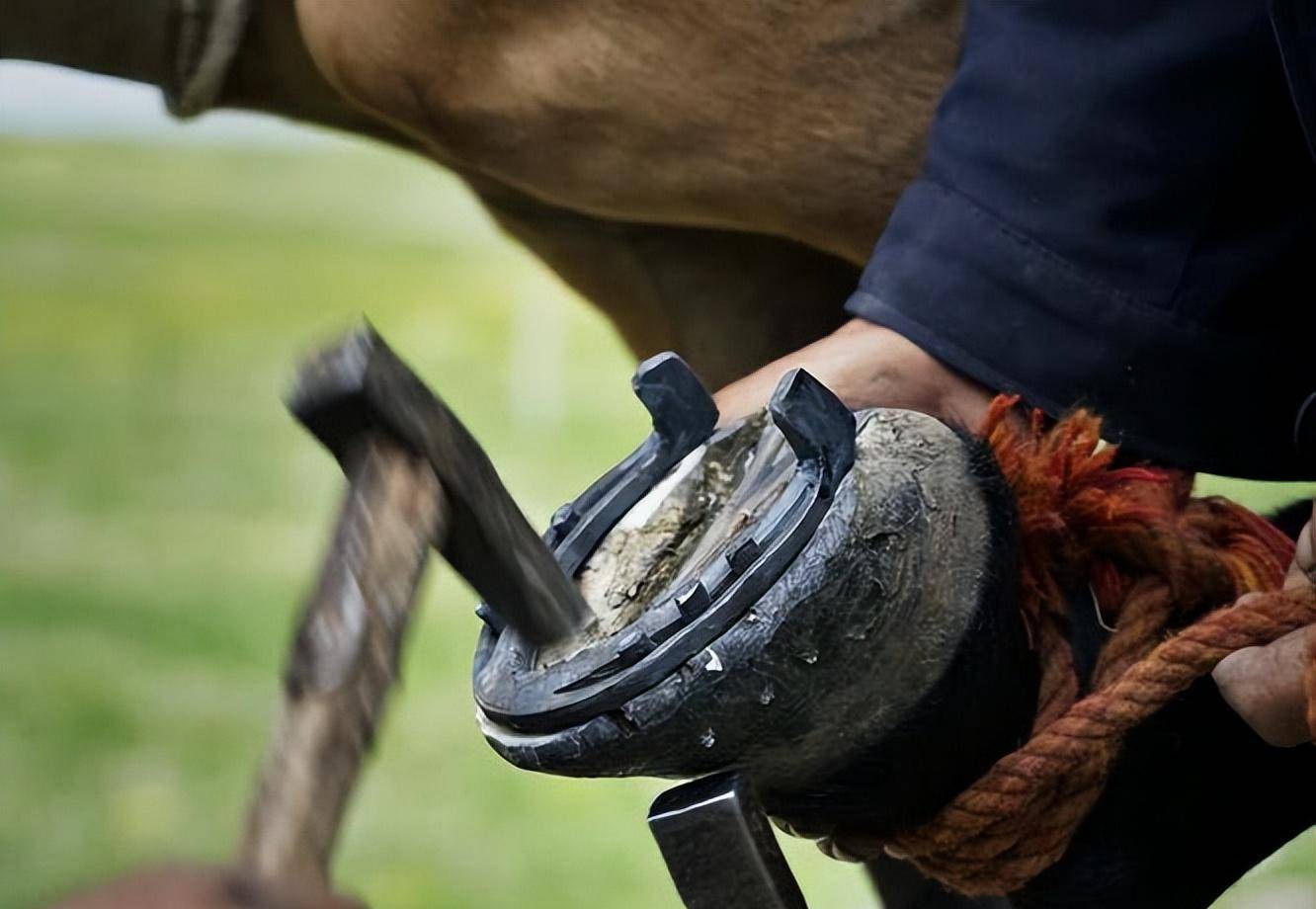 对马来说马蹄铁是累赘吗?_人类_活动_人们