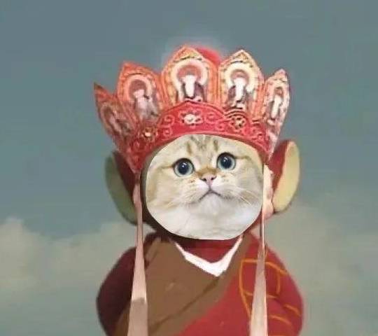 猫猫头西游记表情包_网络