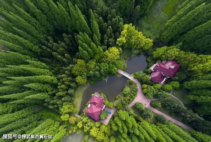 路劲象屿岛上的院子-崇明岛-东滩-陈家镇-欢迎您_手机搜狐网