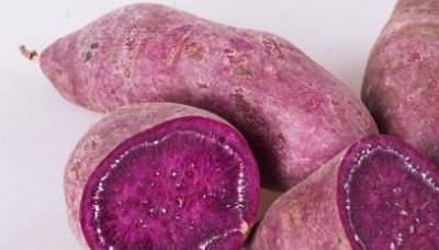 紫薯是转基因食物?基因中携带细菌dna片段?