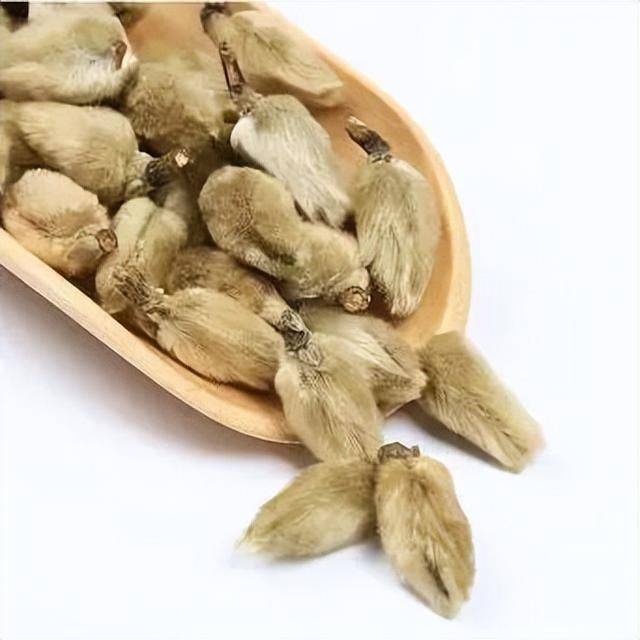 辛夷是木兰科植物望春花,玉兰或武当玉兰的干燥花蕾,苞片外表面密被